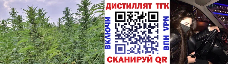 как найти   Усть-Джегута  Дистиллят ТГК Wax 