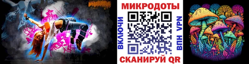 OMG как войти  Усть-Джегута  Галлюциногенные грибы Cubensis 
